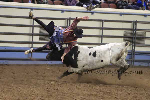 A bullfighter gets thrown into the air by a bull