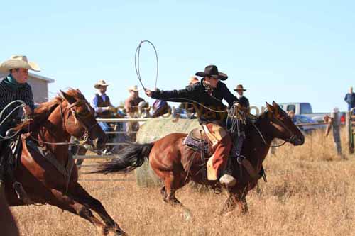 CRCM Pasture Roping, 11-07-15 - Photo 01
