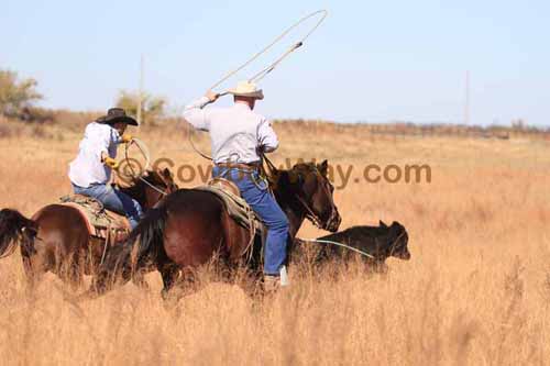 CRCM Pasture Roping, 11-07-15 - Photo 08