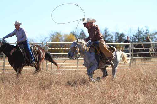 CRCM Pasture Roping, 11-07-15 - Photo 66