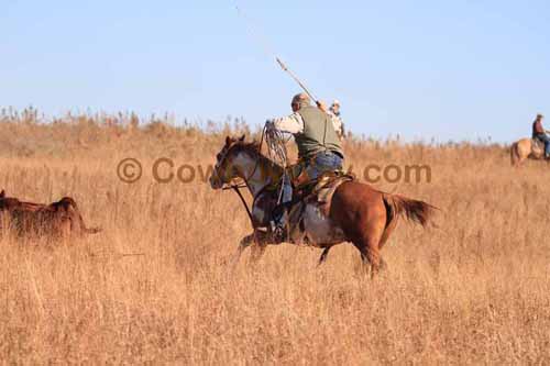 CRCM Pasture Roping, 11-07-15 - Photo 77