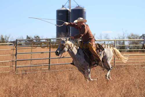CRCM Pasture Roping, 11-07-15 - Photo 94