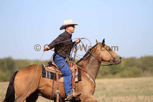 Chops Pasture Roping, 10-01-11 - Photo 5