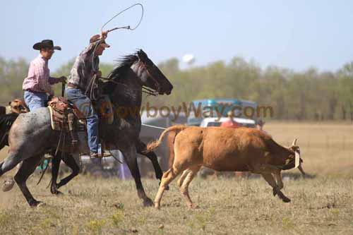 Chops Pasture Roping, 10-01-11 - Photo 52