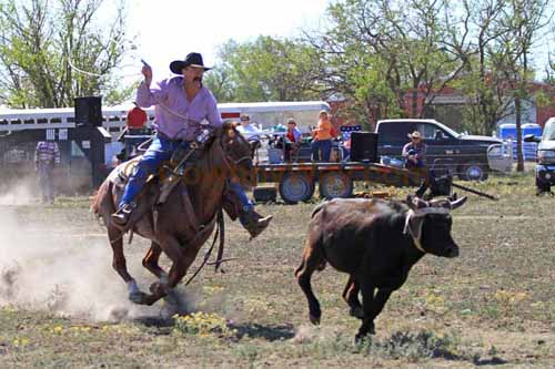 Chops Pasture Roping, 10-01-11 - Photo 56