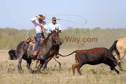 Chops Pasture Roping, 10-01-11 - Photo 61