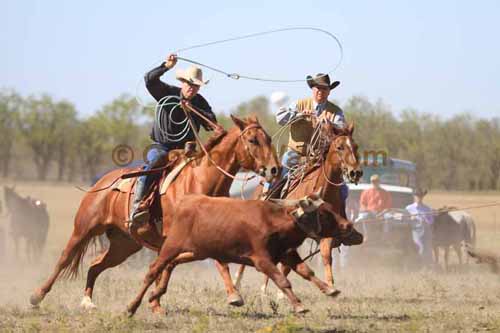 Chops Pasture Roping, 10-01-11 - Photo 63