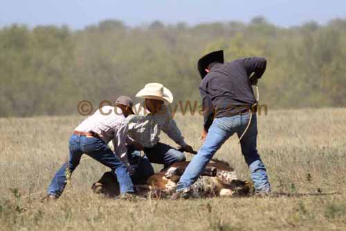 Chops Pasture Roping, 10-01-11 - Photo 88