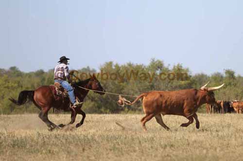 Chops Pasture Roping, 10-01-11 - Photo 107