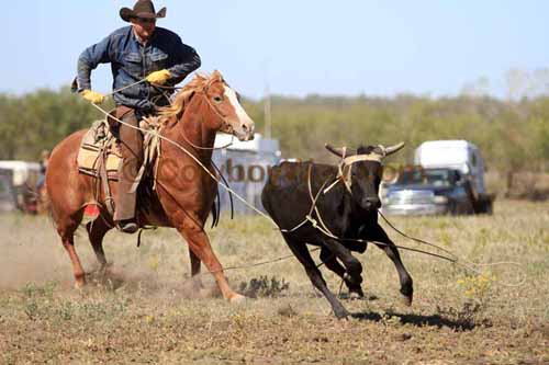 Chops Pasture Roping, 10-01-11 - Photo 17