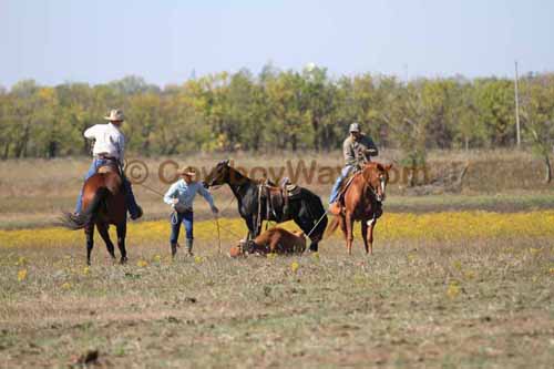 Chops Pasture Roping, 10-04-12 - Photo 16