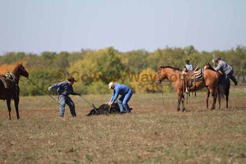 Chops Pasture Roping, 10-04-12 - Photo 40