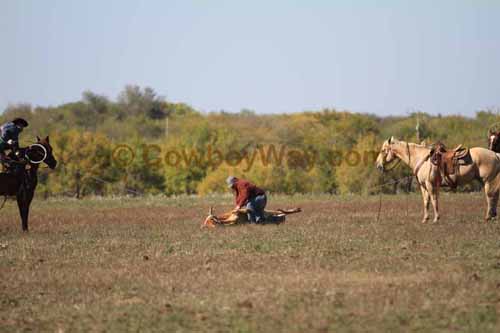 Chops Pasture Roping, 10-04-12 - Photo 63