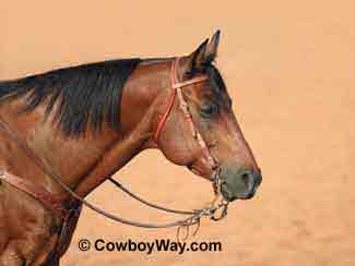 The same photo with a clean background