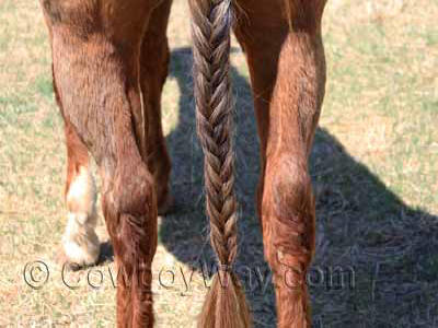 Secure the bottom of the braid with an elastic band