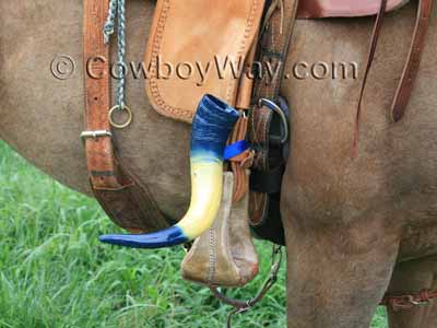 Rodeo flag boot