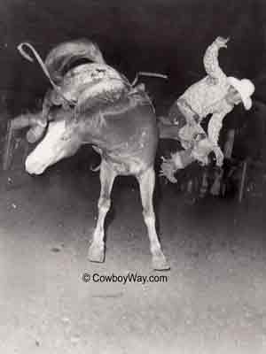 Bareback bronc Flash and Jim Gogt