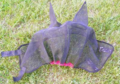 A mesh fly mask for a horse