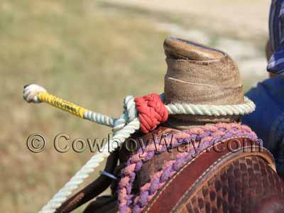 A braided horn knot