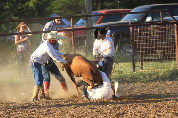 Hunn Leather Ranch Rodeo Photos - Best Of