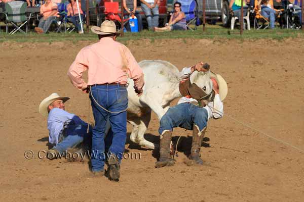 Hunn Leather Ranch Rodeo Photos - Best Of