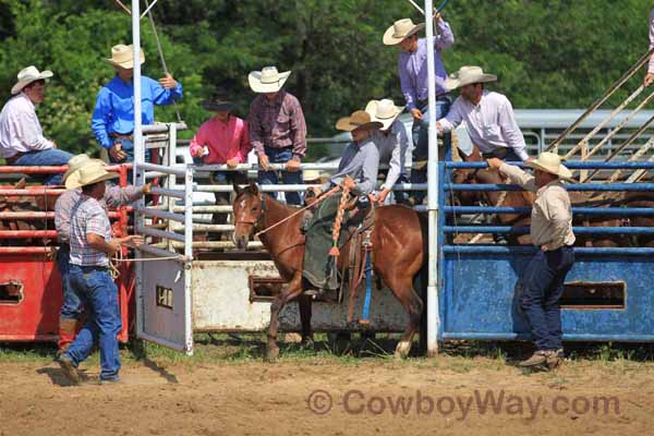 Junior Ranch Bronc Riding, 05-05-12 - Photo 07