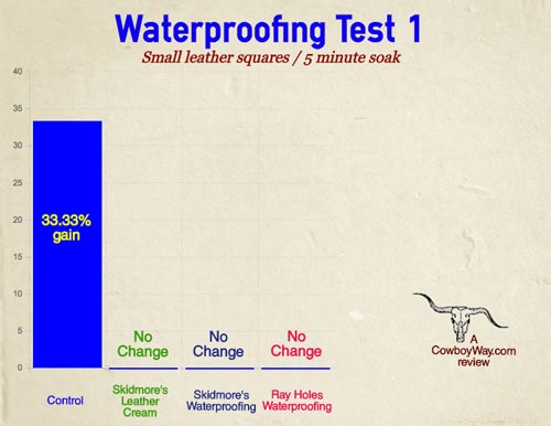 Graph showing review results with Skidmore's Leather Cream