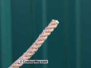The freshly cut end of a rope