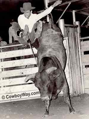 Carpenter Rodeo Company bull Strawberry