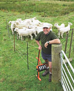 Temporary wire horse fence