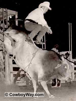 The bull Texas at Atlanta, KS