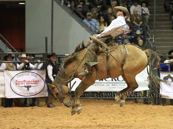 Chris Potter on a dun ranch bronc