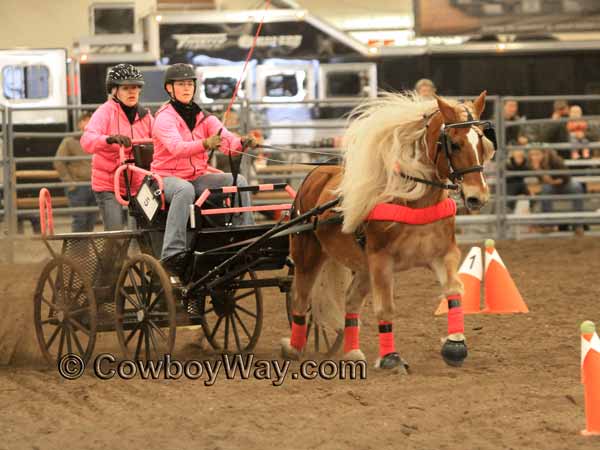 Current cowboy photo of the day