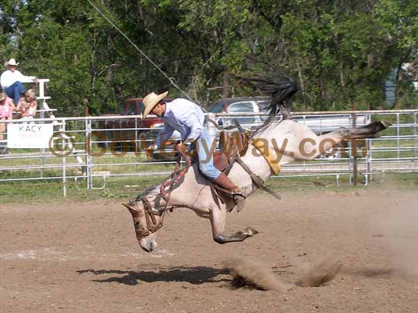 A random photo of the day featuring cowgirls or cowboys