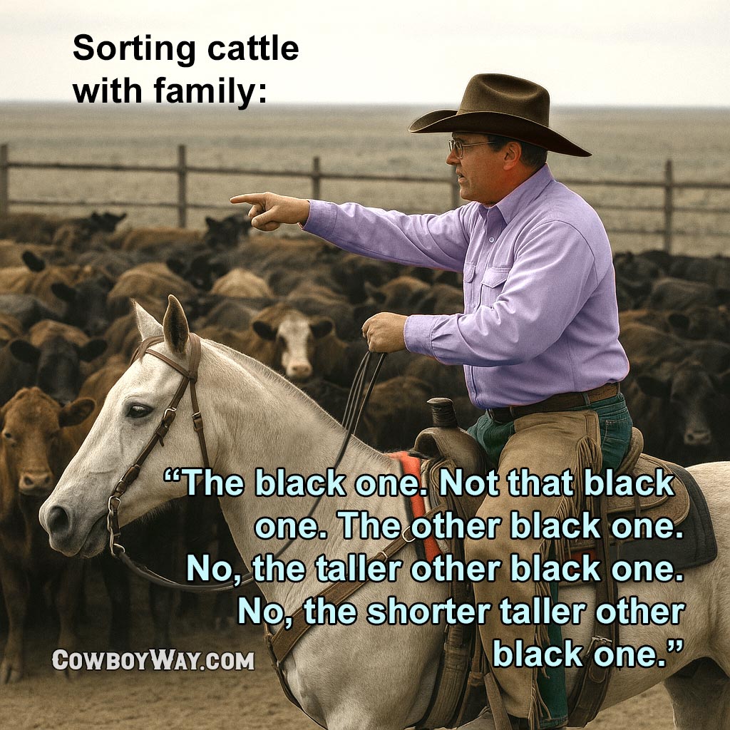 Current cowboy photo of the day