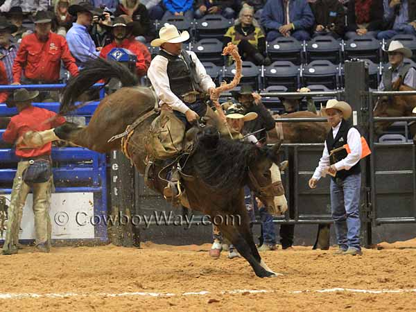 Current cowboy photo of the day