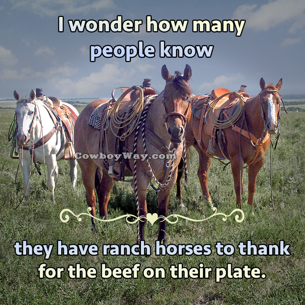 A random photo of the day featuring cowgirls or cowboys